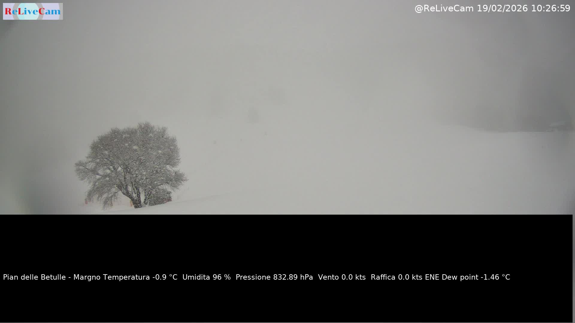 Timelapse del 19/02/2026