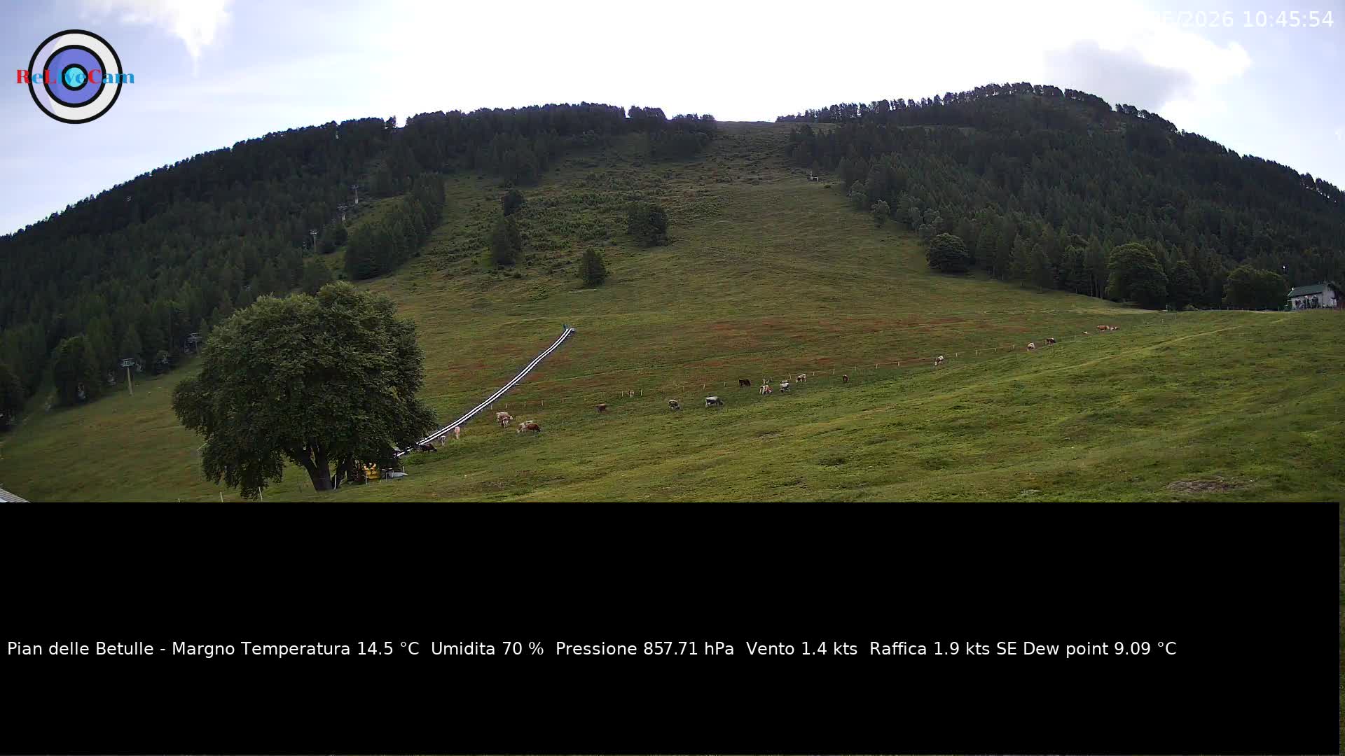 Timelapse del 08/06/2026