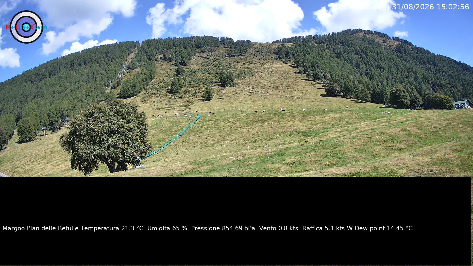 Timelapse del 31/08/2026